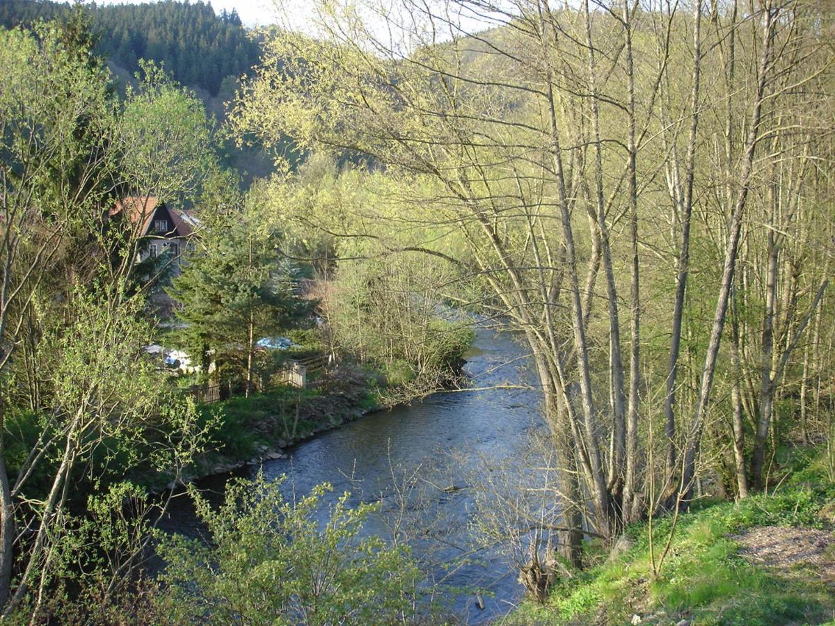 Ferienwohnung Haus Wilde Thale Exterior foto